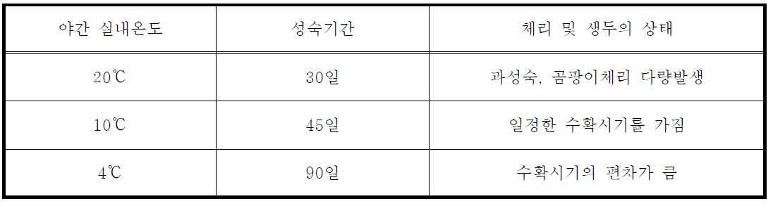 야간의 실내 온도 변화에 따른 성숙기간 및 체리(생두) 상태