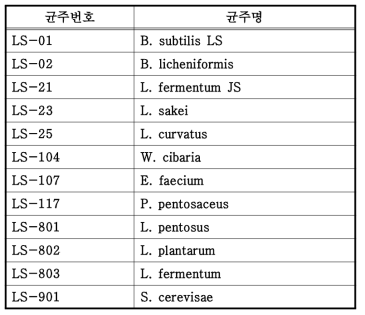 커피체리 발효 후보균주