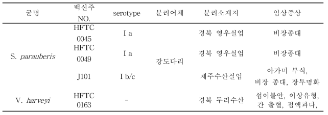 선발백신주 정보 및 분리소재지