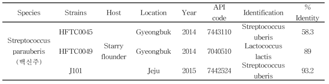 S. parauberis 백신주의 API 20 strep kit을 이용한 생화학적 검사결과