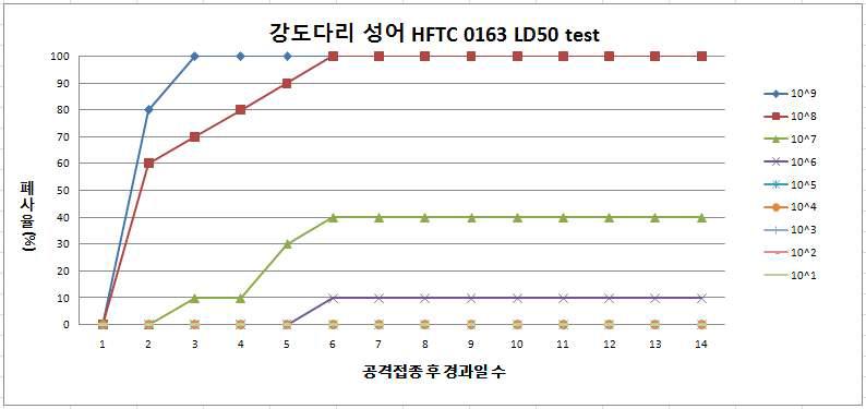 V.harveyi 최종선정 백신주 병원성시험 결과