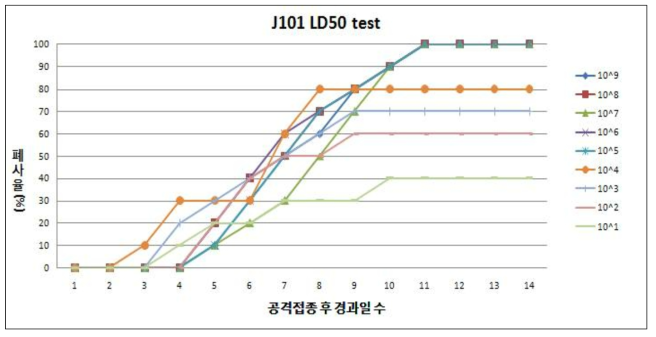 S. parauberis J101 LD50 폐사율 시험결과