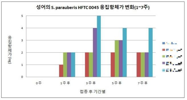 성어의 S. parauberis HFTC0045 사균체 접종에 따른 응집항체가 변화