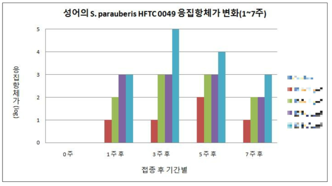 성어의 S. parauberis HFTC0049 사균체 접종에 따른 응집항체가 변화