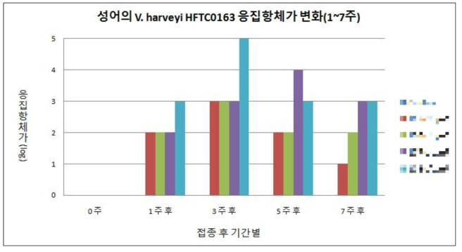 V. harveyi HFTC 0163 사균체 접종에 따른 응집항체가 변화