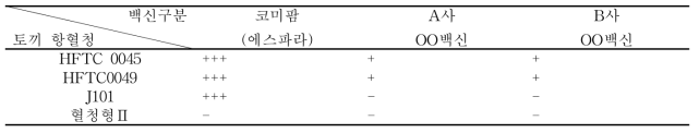 항혈청반응결과