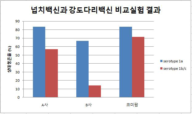 넙치백신과 강도다리 비교실험 생대생존율 결과그래프