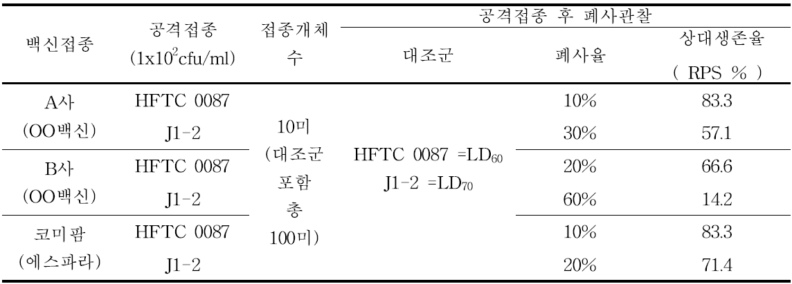 넙치백신과 강도다리 비교실험 결과표