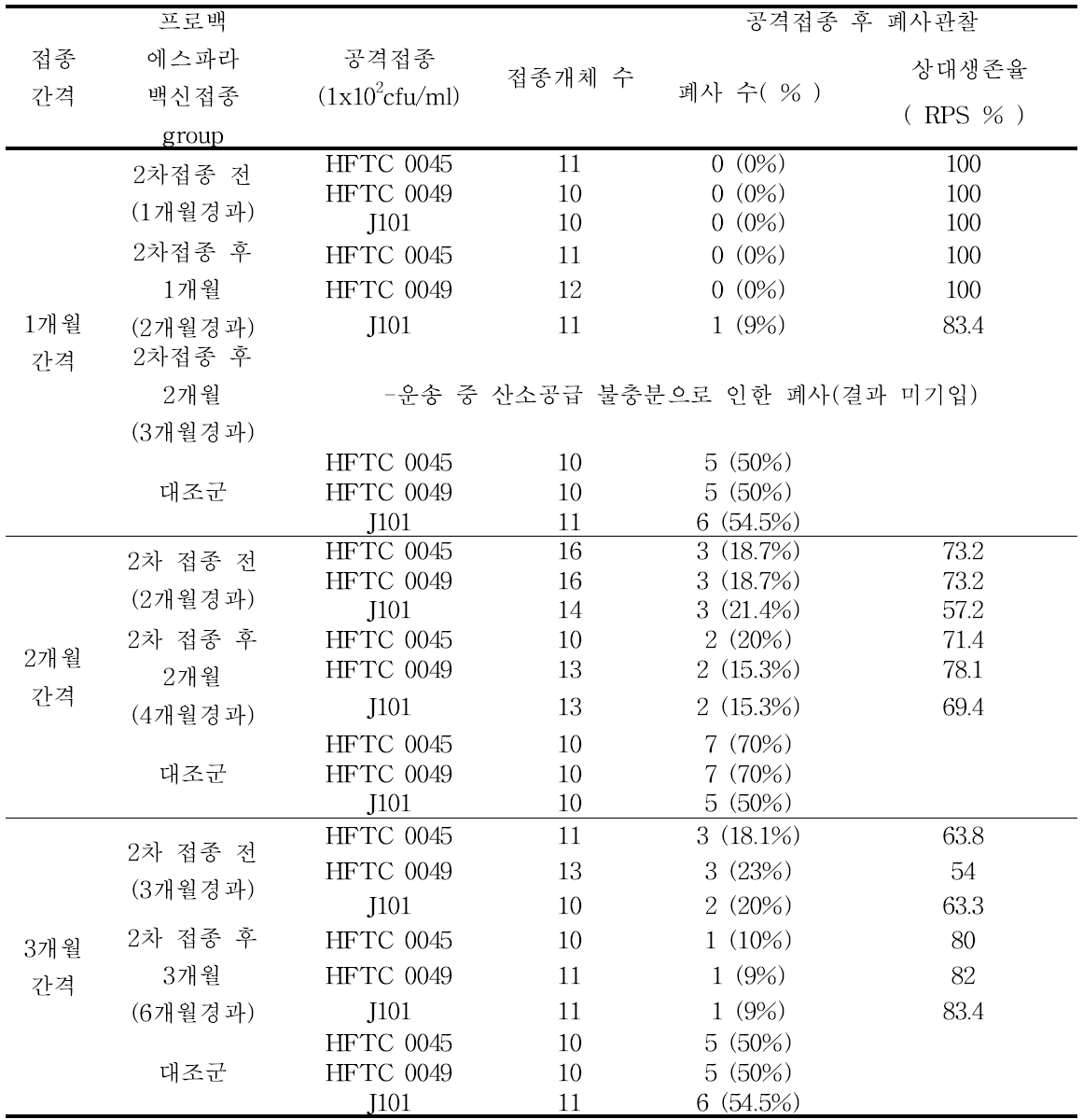 백신프로그램 비교실험 디자인 및 상대생존율결과(1~3개월간격, 6개월경과내역)