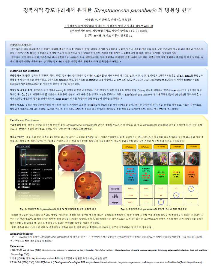 경북지역 강도다리에서 유래한 Streptococcus parauberis의 병원성연구