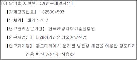 특허출원서 하단; 발명지원 국가연구개발사업 사사기입 내역