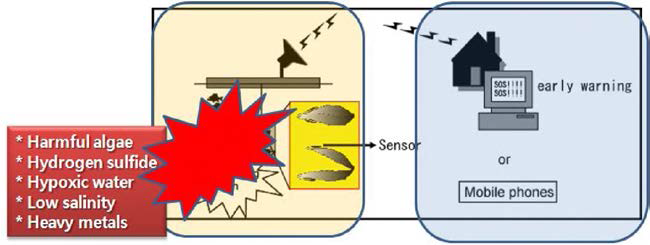 이매패류의 패각운동을 이용하여 이상해양환경에 따른 실시간 모니터링 시스템 구축을 위한 개념도