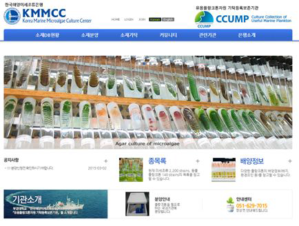 부경대학교 소재 한국해양미세조류은행(KMMCC) 홈페이지