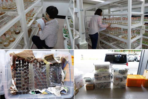 한국해양미세조류은행에서의 플랑크톤 자원 이관 준비