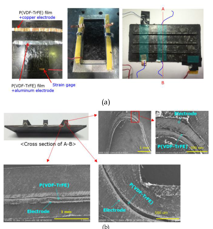 (a) LFPS 리브구조체 내 P(VDF-TrFE) 필름센서와 스트레인게이지 삽입 (b) SEM 관찰