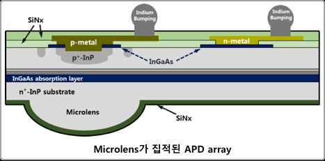 FLL시제용 microlens가 집적된 APD array의 구조