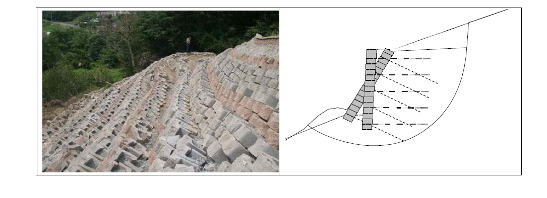 대둔산 부근 보강토옹벽의 붕괴모습