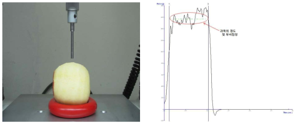 사과(박피)의 분석 모습(좌) 및 그래프 분석 방법(우)