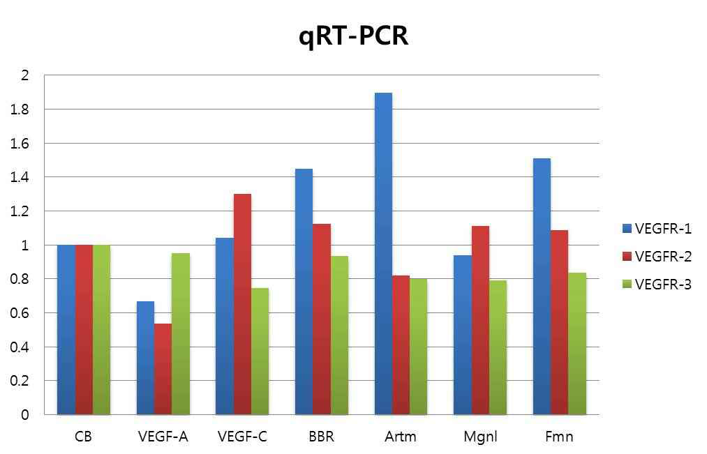 qRT-PCR을 이용한 VEGF 수용체 발현 확인