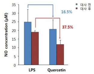 Quercetin 대사체의 항염증 효능
