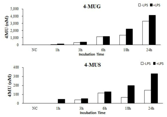RAW 264.7 세포의 extracelluar β-glucuronidase (MUG)와 sulfatase (MUS) 활성