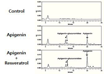 혈중 apigenin과 대사체 HPLC 분석