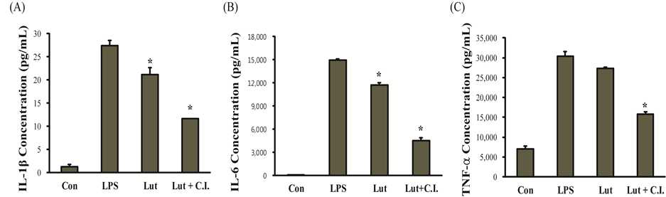 COMT inhibitor에 의한 luteolin 대사 조절에 따른 항염증 효능 증진
