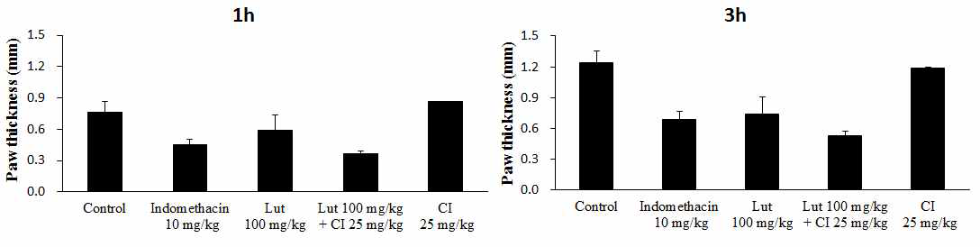 COMT inhibitor에 의한 luteolin 대사 조절에 따른 항염증 효능 증진 - Carrageenan으로 유발된 족부종 억제에 미치는 영향 (발두께)