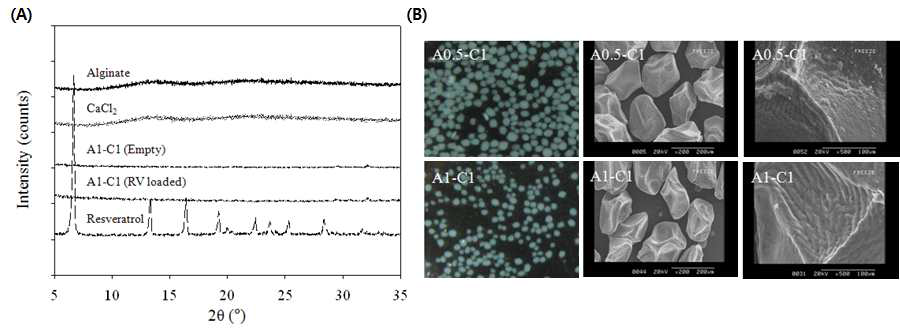 Resveratrol을 포집한 alginate-CaCl2 microsphere의 구조 분석