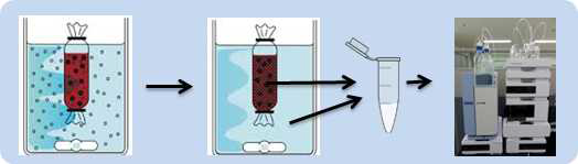 Dialysis membrane을 이용한 in vitro 소화 모델