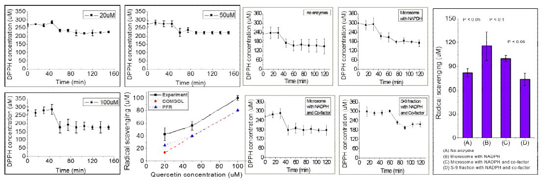 Quercetin 농도에 따른 항산화능 측정치 비교와 간대사 반응의 종류에 따른 항산화능 측정치 비교