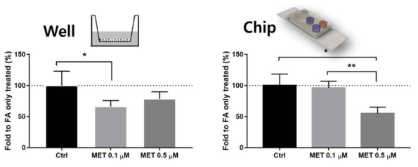 Well조건과 chip 조건에서의 metformin 적용 농도별 간세포 지방축적량