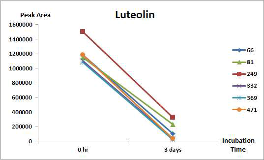 세균을 이용한 luteolin 생물전환의 물질 area 변화량