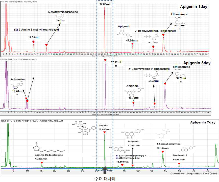 LC-MS로 분석한 apigenin 생물전환 대사체