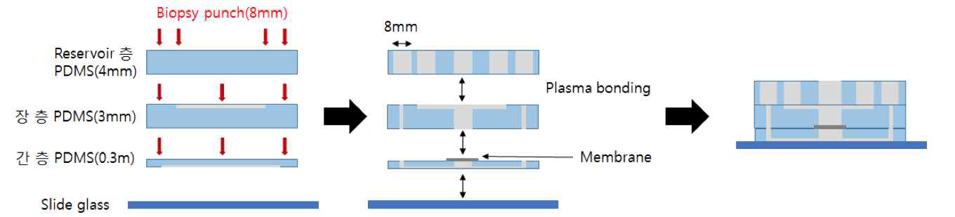 장-간 미세유체칩의 제작과정