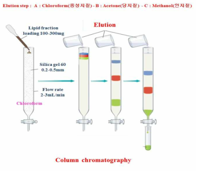 Column chromatography를 이용한 당지질 분리