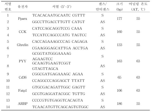식욕 관련 호르몬의 유전자 발현을 위한 cDNA 프라이머