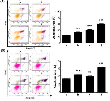 Effects of bioconversion products on apoptosis of HCC827GR(A) and DLD1(B) analyzed by flow cytometry