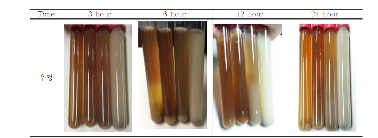 Appearance of Artium lappa extracts * Ethanol concentration of 0%, 20%, 40%, and 60% (from left)