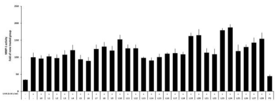 Inhibition effect of MMP-1 promoter binding activity for Lespedeza cuneata extracts according to the extraction conditions