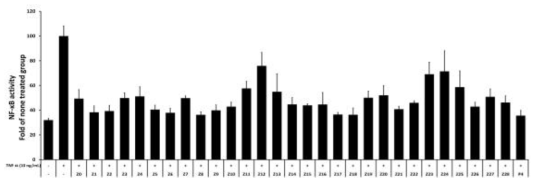 Inhibition effect of NF-κB promoter binding activity for Zea mays extracts according to the extraction conditions