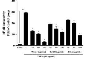 Inhibition effect of NF-κB promoter binding activity for Lespedeza cuneata extract fractions