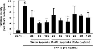 Inhibition effect of THP-1 cell adhesion to the TNF-α for Lespedeza cuneata extract fractions