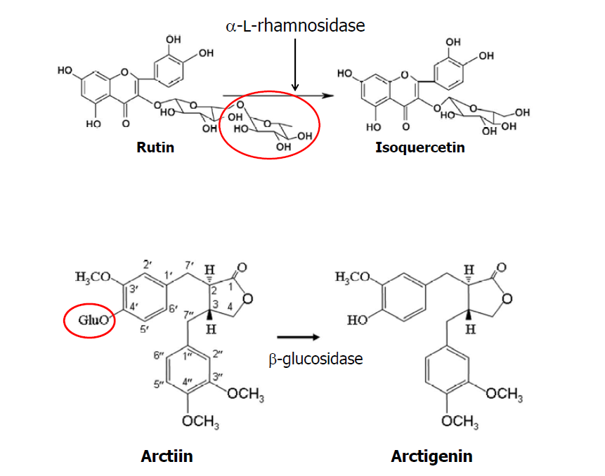 Scheme for bioconversions of target products