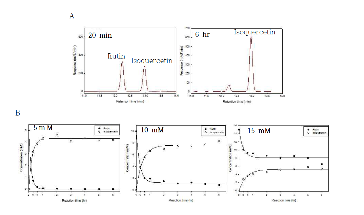 Time-dependent analyses of rutin bioconversion reaction. (A) HPLC chromatogram (B) Changes of rutin and isoquercetin concentrations