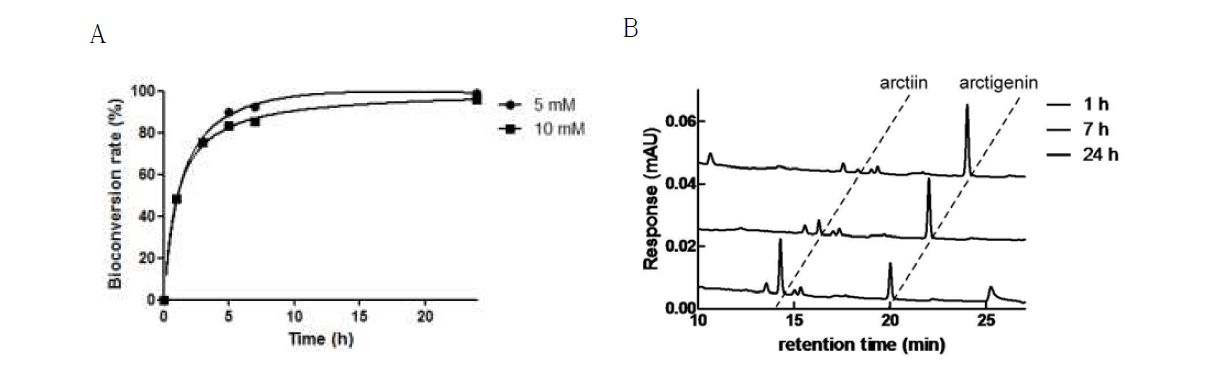 Bioconversion reactions of arctiin (A) and Fructus arctii extract (B) by encapsulated β-glucosidase