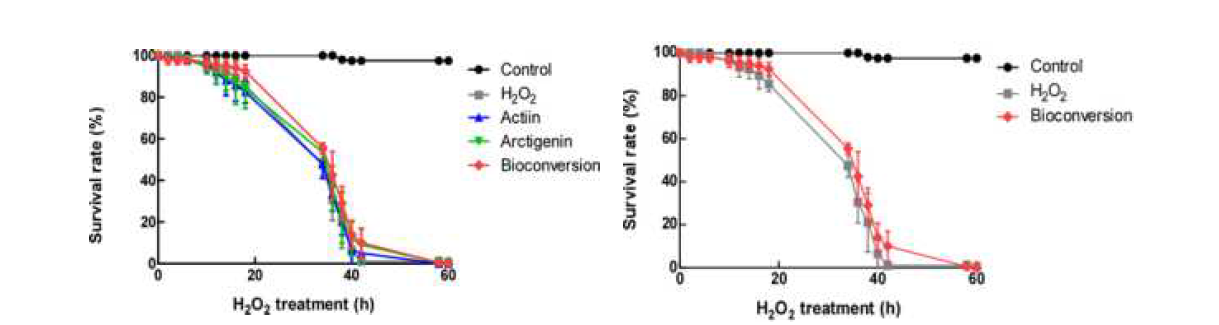 in vivo test of antioxidant activity of arctiin bioconversion product by Drosophila