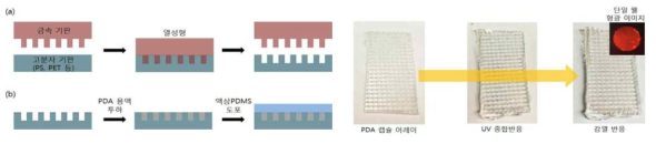 (a) 고분자 임프린팅 기법을 이용한 마이크로 웰 형성 모식도, (b) 마이크로 웰어레이 기반 PDA 캡슐 어레이 제작 모식도 (왼쪽) 및 마이크로 웰 어레이기반 PDA 캡슐 어레이의 UV 중합 및 감열 반응 결과 형광 이미지 (오른쪽)