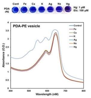 PDA-PE 소포체를 이용한 수은 이온 선택적 검출 결과 이미지 및 흡광도 측정을 통한 색 전이 현상 분석결과 그래프