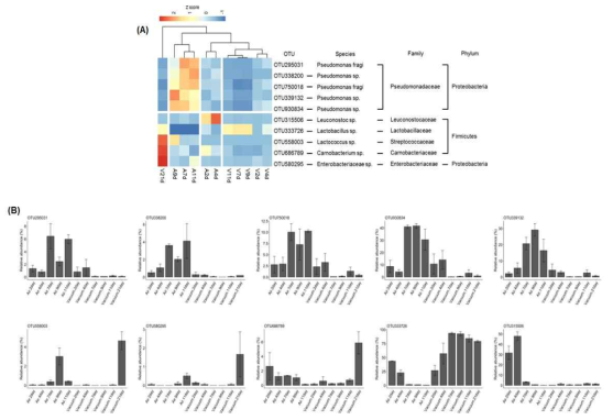 The distribution of bacterial operational taxonomic units in air and vacuum packaged beef stored at 4℃ based on 16S rRNA amplicon sequencing.